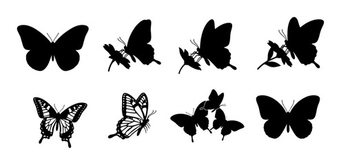 Butterfly Silhouettes and Line Art Vector Icons, Insect Graphics for Nature and Spring Designs © Nusracct