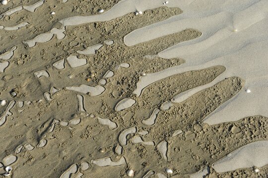Close-up of wave patterns in the sand with scattered small shells, Plage Saint Efflamm, Plestin-les-Gr&egrave;ves, Breton Plistin, Arrondissement Lannion, C&ocirc;tes-d'Armor, Brittany, France