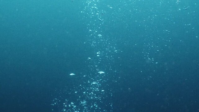 4K水中映像】ディープブルーの海中から水面へ向かって上昇する美しい泡
