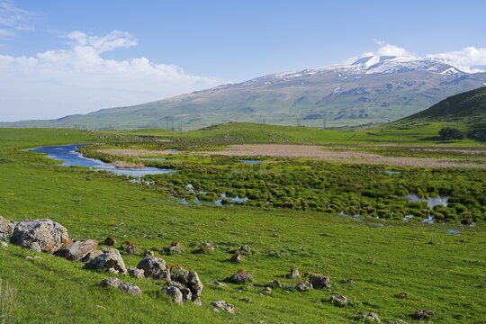 Green meadows with a meandering stream and a mountain range in the background under a clear sky, landscape near Rya Taza with a view of the Aragaz, Ria Taza, Aragatsotn Province, Armenia