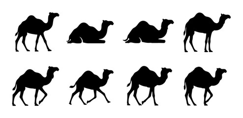 Camel Silhouettes Collection: Standing, Walking, Resting Dromedary and Bactrian Camel Vector Icons for Desert Travel and Wildlife Themes © Ayesha