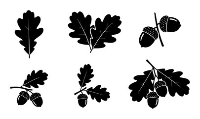 Oak Leaf and Acorn Vector Icons, Autumnal Nature Elements, Seasonal Botanical Graphics, Fall Harvest Symbols © Tasmia