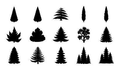 Diverse Evergreen Tree Silhouettes, Coniferous Forest Icons, Pine and Fir Vector Graphics, Nature Elements for Design © Sanjida