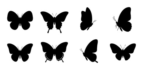 Black Butterfly Silhouettes Collection, Insect Vector Graphics, Winged Creatures Set, Nature Elements for Design © Kamrul