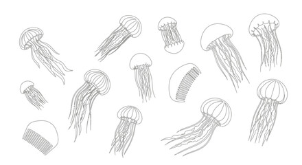 A collection of hand-drawn jellyfish illustrations in a sketch style. © Syakira_Muhtar