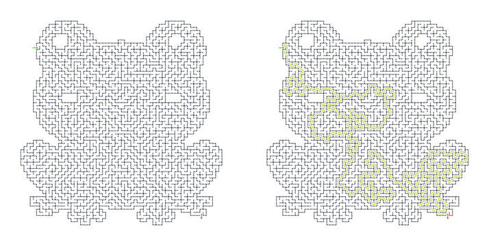 Frog-shaped maze puzzle with highlighted answer
