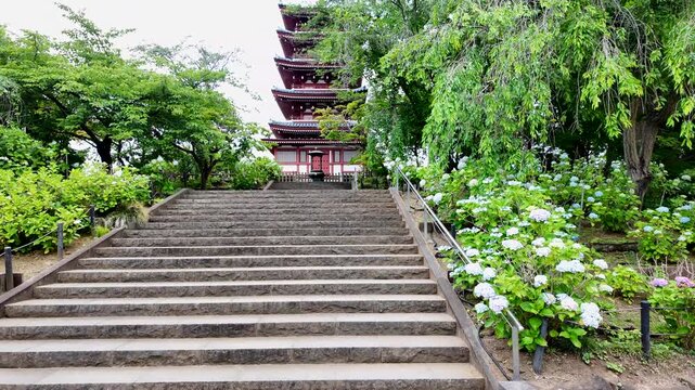 梅雨の季節の本土寺　千葉県松戸市
