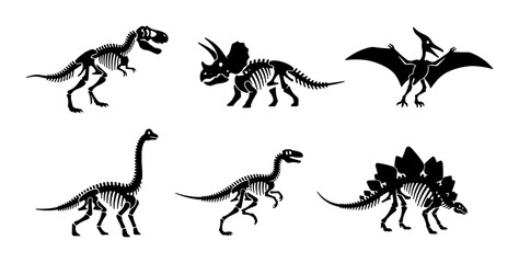 Dinosaur Skeletons Vector Set, Prehistoric Reptile Fossils Collection, Ancient Creature Anatomy Illustrations, Paleontology Graphics © Rabiul