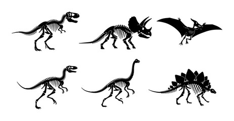 Dinosaur Skeletons Vector Set: Prehistoric Icons, Fossil Anatomy Illustrations, Ancient Reptile Silhouettes for Paleontology and Education © Rabiul