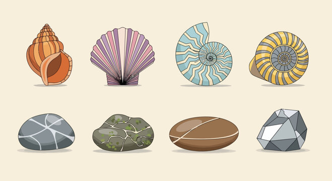 Collection of diverse seashells and stones, vector illustration