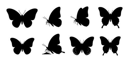 Black Butterfly Silhouettes Collection, Insect Vector Icons, Delicate Winged Creatures, Nature Graphics, Graphic Resources © Arefin