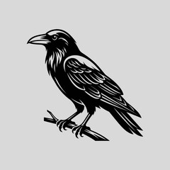 Obraz premium Detailed raven bird perched on a branch.