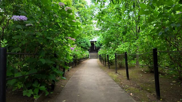 梅雨の季節の本土寺　千葉県松戸市