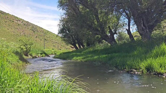 Peaceful spring stream flowing between lush green grass and tall trees under a bright blue sky with soft clouds.
📍 Marivan, Kurdistan, Iran 