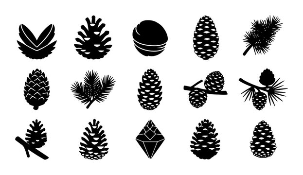 Pine Cone Vector Icons Set, Forest Seed Pod Graphics, Nature Elements Collection, Winter Holiday Decoration Symbols