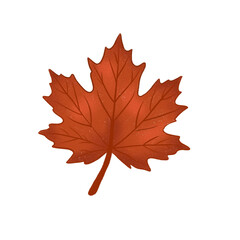 Fototapeta premium Red maple leaf illustration. Hand drawn digital watercolor autumn Canadian maple leaf element for Thanksgiving seasonal design isolated on white.