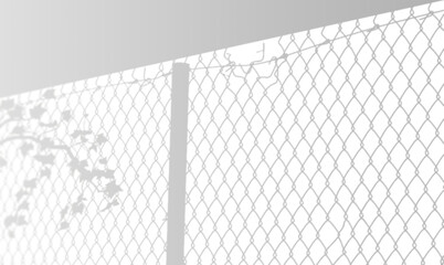 Shadow of Chain Link Fence With Climbing Plant on White Wall Without Background © Niaz