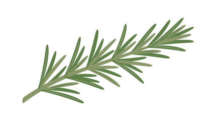Obraz premium Green pine branch on white background illustration vector spruce fir nature