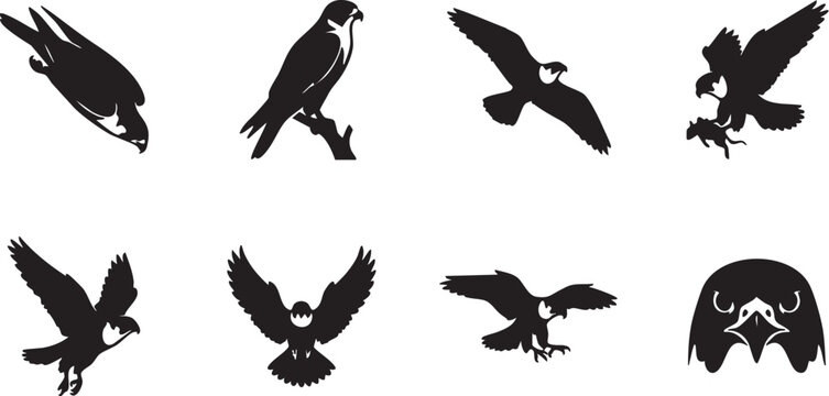 Various black vector crocodile illustrations in different poses and shapes