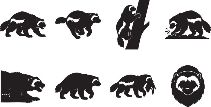 Various badger silhouettes in different poses and angles, showcasing their distinctive white stripes and sharp claws in a graphic design.