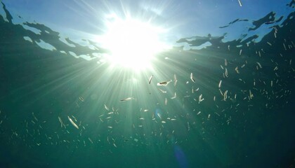 Naklejka premium Tiny plankton swarm in sunlit ocean surface waters, shimmering under bright sunlight beams