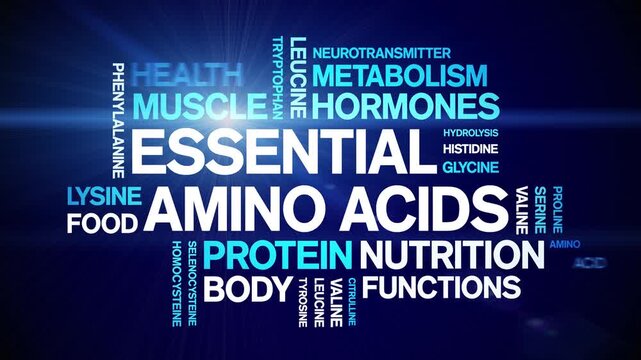 Essential Amino Acids animated word cloud-text design animation tag kinetic typography seamless loop.