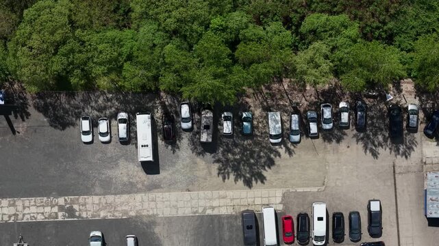 An aerial view shows a diverse collection of cars and a bus parked adjacent to a lush, green forest.