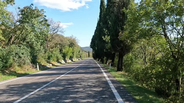 riding down an empty road in italy lined with cypress trees (tall pointed coastal cypresses) Mediterranean coast europe european travel bike biking highway tourism eu trieste