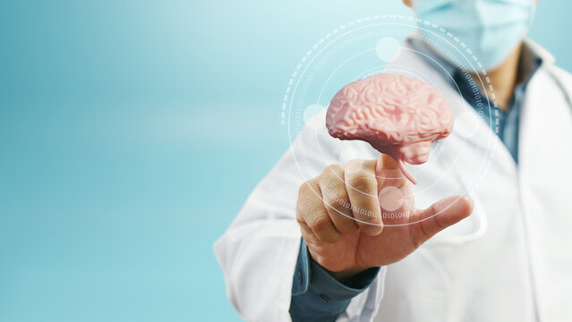 Doctor Touching Digital Brain Interface