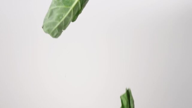 Southern soul food Collard Green Leaves raining down on a white backdrop in slow motion close up macro.