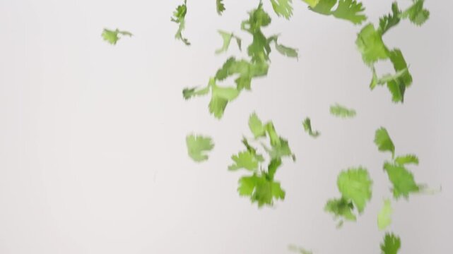 Fresh aromatic Chopped Parsley raining down on a white backdrop in slow motion close up macro.