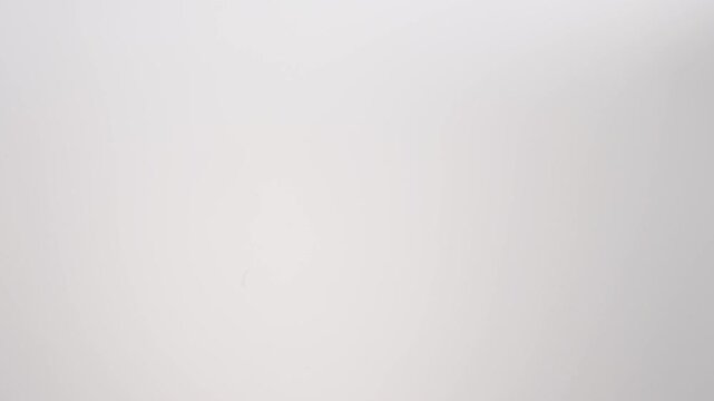 Whole exotic Prickly Pear Cactus raining down on a white backdrop in slow motion close up macro.