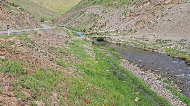 Mountain valley with a flowing stream beside a narrow road, surrounded by steep green hills, wild vegetation, and a bright sky with soft white clouds.
📍 Marivan, Kurdistan, Iran 