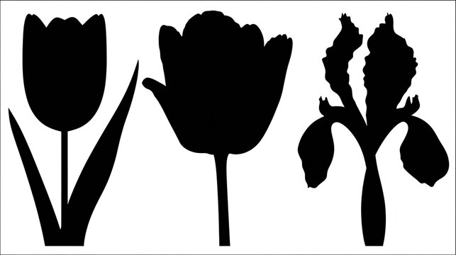 Silhouettes of three different flowers against a white background.