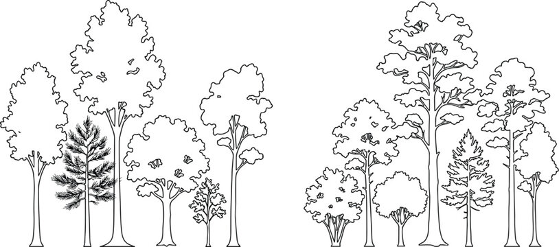 Minimalist tree line vector illustration, black and white forest outline silhouettes, architectural landscape elevation trees for site plans