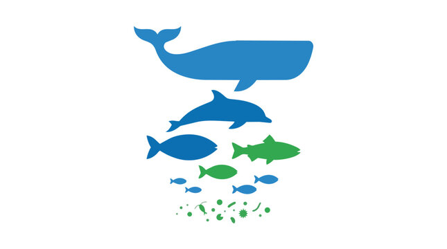 Marine Food Chain Illustration Showing Predation from Plankton to Whale