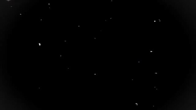 particel 4k interactive visualization