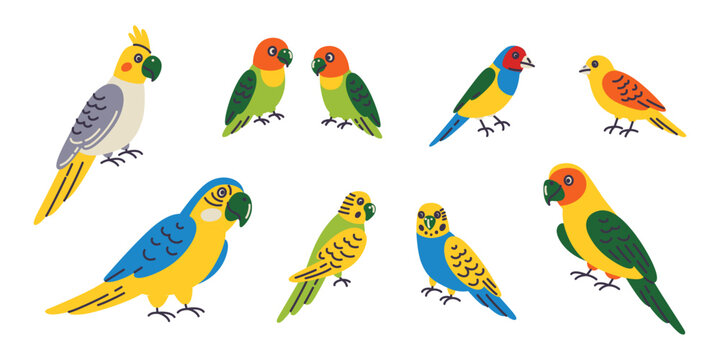 Pet parrots clipart set, flat cartoon colorful birds collection with cockatiel, lovebirds, macaw, budgerigar and conure. Exotic pet birds vector illustration for animal and wildlife theme