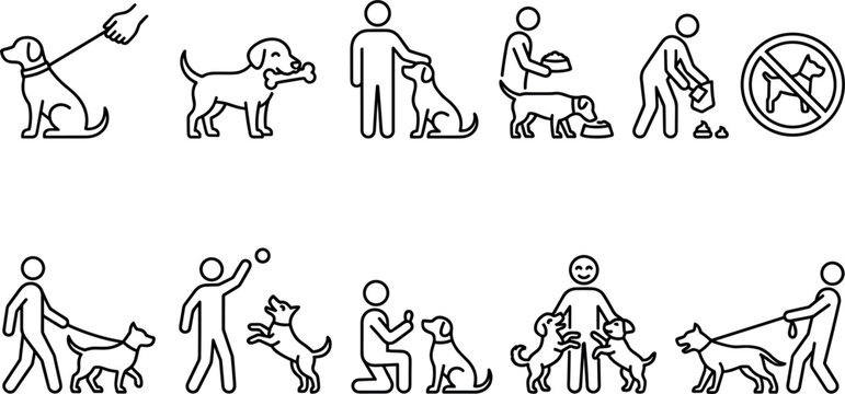 Dog care and pet ownership thin line icon set featuring walking on leash playing fetch cleaning waste feeding training and restriction sign elements