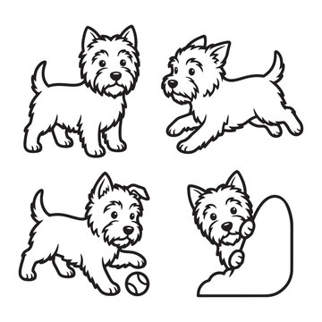 Cute westie dog set in black and white line art style