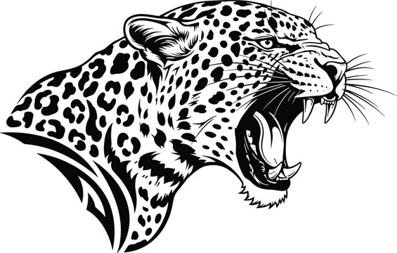 Aggressive leopard head illustration in black and white with open mouth, sharp teeth, and bold details