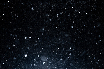 Obraz premium Snow on black background with frosty particles. White snowfall overlay with intense motion. Snowflakes in different shapes and forms. Cinematic snowfall effect on dark backdrop. Snow overlay.