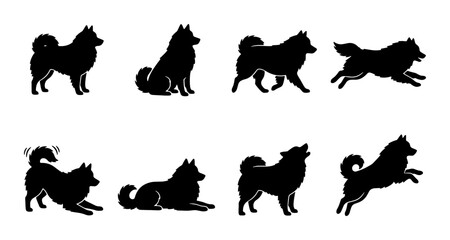 Husky Dog Silhouettes, Set of 8 Vector Poses, Black Canine Icons for Pet Branding and Animal Graphics © Afrina