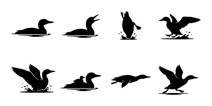 Black Silhouette Loons, Ducks, and Waterfowl Collection: Swimming, Diving, Flying, and Family Poses