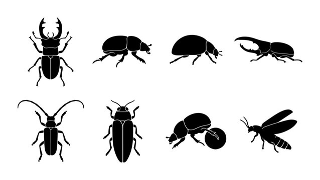Diverse Insect Silhouettes Collection, Vector Art Set of Eight Black Beetles and Bugs, Minimalist Entomology Graphics for Science and Nature Designs