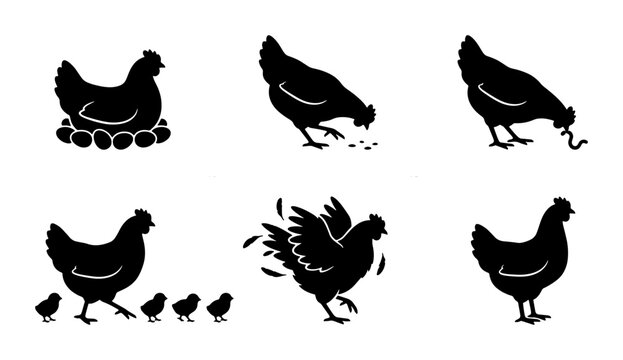 Chicken Silhouette Icons Set, Farm Animal Vector Graphics, Hen and Chicks Collection, Poultry Life Cycle Illustrations