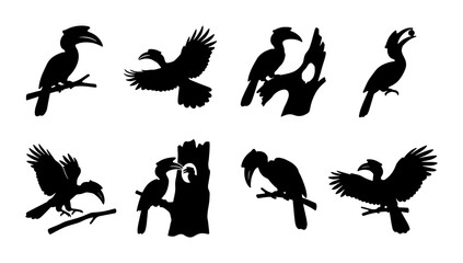 Hornbill Bird Silhouettes Collection, Tropical Wildlife Vector Icons, Exotic Avian Fauna Graphics, Jungle Creatures Set © Afrina