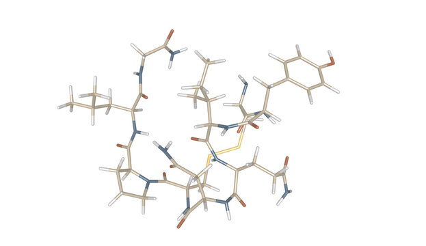 Oxytocin Hormone 3D Stick Model Molecular Chemical Structure Visualization for Molecular Biology Simulation Scientific Education Research Pharmaceutical Biochemistry Bonding Neurotransmitter, Atoms