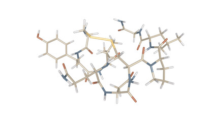 Obraz premium Oxytocin Chemical Structure 3D Stick Model Representation, Molecular Simulation Education and Biochemistry Visualization Featuring Peptide Bonds and Hormone Molecular Architecture on White Background