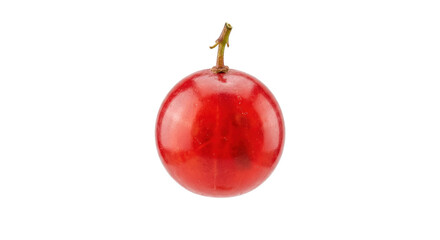 Single fresh red currant berry macro isolated © shuphanida